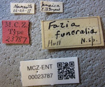 Media type: image;   Entomology 23787 Aspect: labels